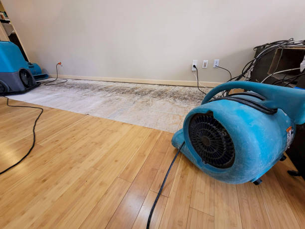 Professional Sewage Cleanup technician working in Palmetto, FL